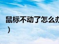 鼠标不动了怎么办灯还亮（鼠标不动了怎么办）