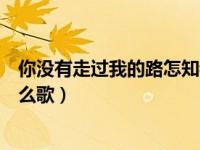 你没有走过我的路怎知我的苦与乐（生活的苦走过的路是什么歌）