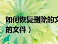 如何恢复删除的文件聊天记录（如何恢复删除的文件）