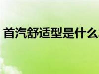 首汽舒适型是什么车（首汽畅享型是什么车）