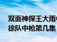 双面神探王大雨中枪住院第26集（双面神探徐队中枪第几集）