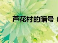 芦花村的暗号（芦花村的暗号是什么）