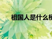 祖国人是什么梗（祖国人狂喜什么梗）