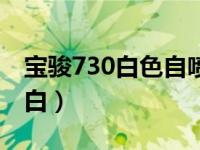 宝骏730白色自喷漆（宝骏730白色属于哪种白）