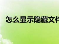 怎么显示隐藏文件夹（怎么显示隐藏文件）