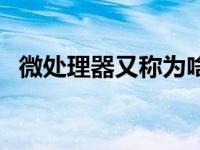 微处理器又称为啥（微处理器又称为什么）