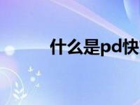 什么是pd快充（什么是pd快充）