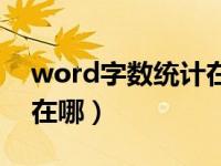 word字数统计在哪个菜单（word字数统计在哪）