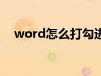 word怎么打勾进框里（word怎么打勾）