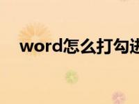 word怎么打勾进框里（word怎么打勾）