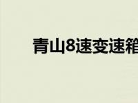 青山8速变速箱（青山变速箱耐用吗）