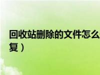 回收站删除的文件怎么恢复手机（回收站删除的文件怎么恢复）