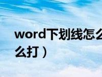 word下划线怎么打不上字（word下划线怎么打）