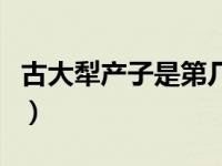 古大犁产子是第几集（古大犁生儿子是哪一集）