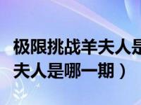 极限挑战羊夫人是哪一期第六季（极限挑战羊夫人是哪一期）