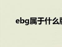 ebg属于什么牌子（ebug是啥牌子）
