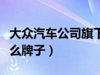 大众汽车公司旗下都有什么（大众旗下都有什么牌子）