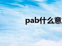 pab什么意思（pab什么意思）