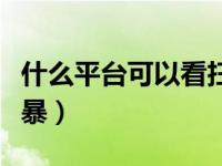 什么平台可以看扫黑风暴（手机怎么看扫黑风暴）