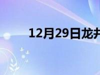 12月29日龙井白天与夜间天气预报