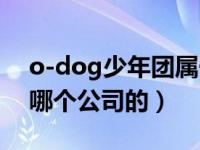 o-dog少年团属于哪个公司（o-dog少年团哪个公司的）