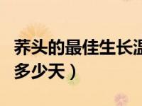 荞头的最佳生长温度是多少度（荞头生长周期多少天）