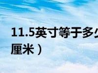 11.5英寸等于多少厘米（11.25英寸等于多少厘米）