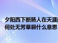 夕阳西下断肠人在天涯的含义（西阳西下,断肠人在天涯海角何处无芳草碧什么意思）