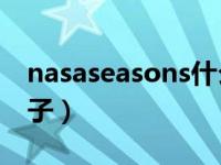 nasaseasons什么档次（nasa sup是什么牌子）