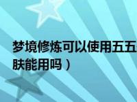 梦境修炼可以使用五五开黑节皮肤（梦境修炼五五开黑节皮肤能用吗）