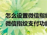 怎么设置微信指纹支付功能oppo（怎么设置微信指纹支付功能）