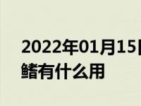 2022年01月15日最新发布:汽车顶部的鲨鱼鳍有什么用