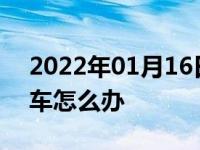 2022年01月16日最新发布:拿到驾照不敢开车怎么办