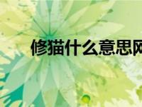 修猫什么意思网络语（修猫什么意思）