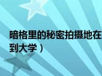 暗格里的秘密拍摄地在哪个大学（暗格里的秘密什么时候回到大学）