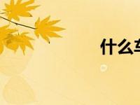 什么车加98号汽油