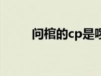 问棺的cp是啰音吗（问棺cp是谁）