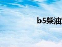 b5柴油对发动机的影响