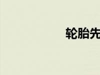 轮胎先换2个还是4个