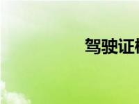 驾驶证桩考是什么意思