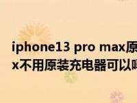 iphone13 pro max原装充电器多少钱（iphone11promax不用原装充电器可以吗）