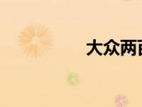 大众两百多万的车哪款