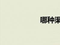 哪种渠道买车险便宜
