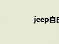 jeep自由光2.0油耗多少