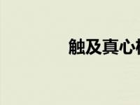 触及真心权律师开的什么车