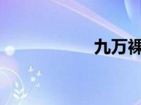 九万裸车落地要多少