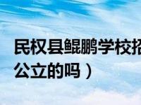 民权县鲲鹏学校招生咨询（民权县鲲鹏学校是公立的吗）