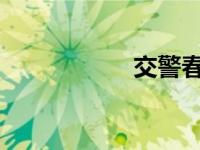 交警春节重点查什么