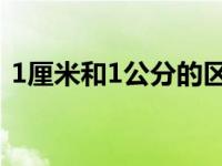 1厘米和1公分的区别（1.8公分等于几厘米）