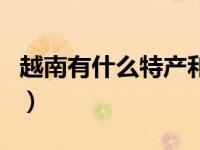 越南有什么特产和值得买的（越南有什么特产）